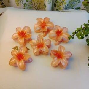 whatsapp image 2025 10 23 at 19.45.07