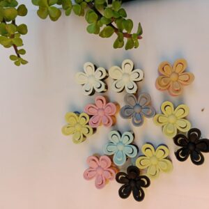 multi color clutcher