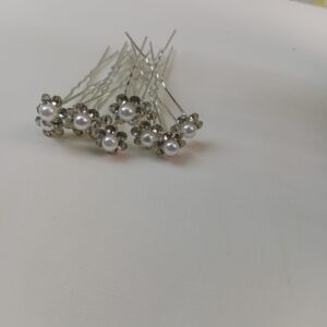 silver clip (set of 6 )